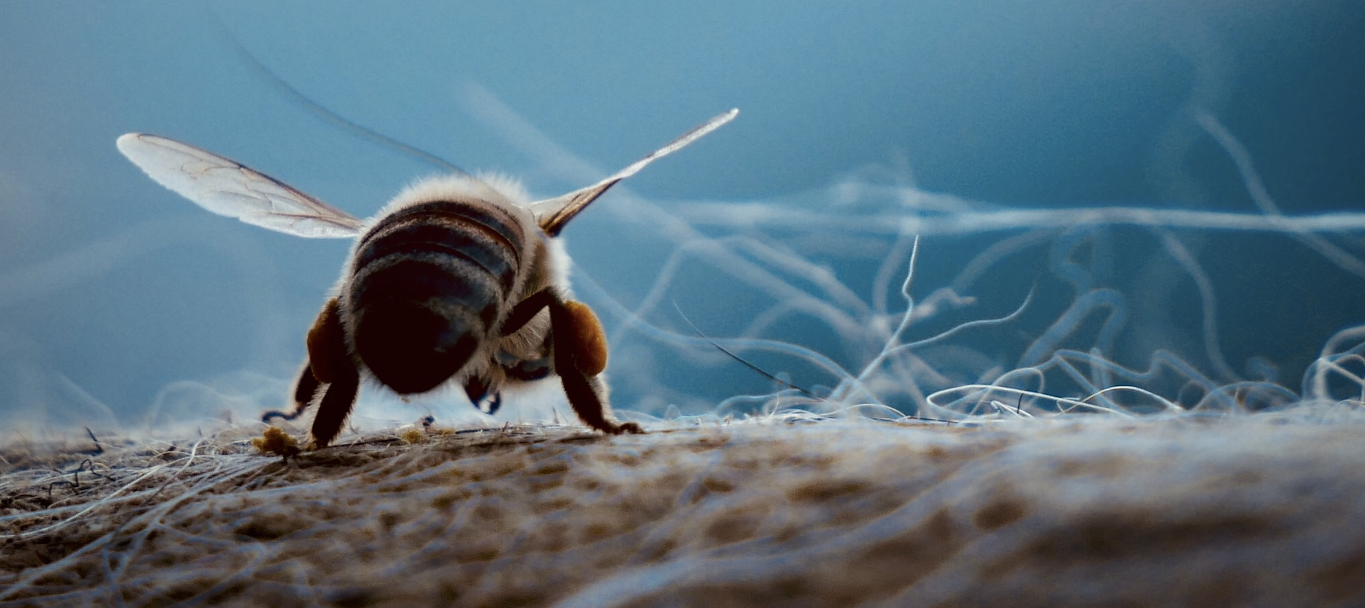 How can I support nature protection in my everyday life?